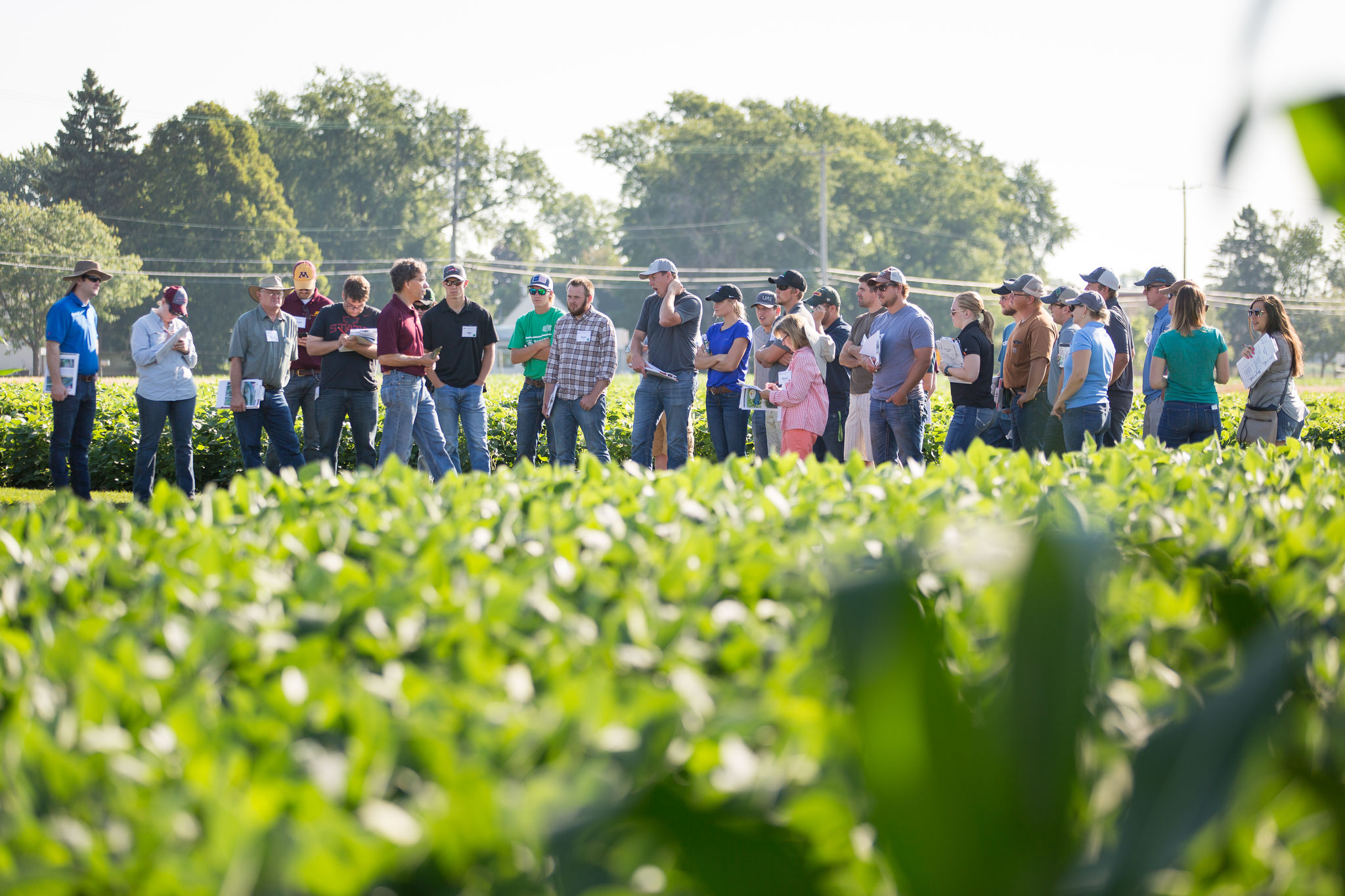 A group of people standing in a field at a UMN Extension event