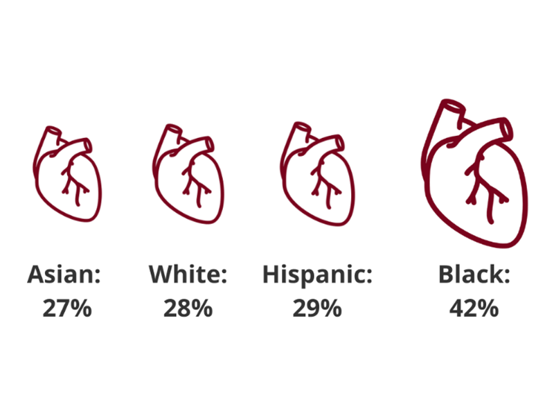 hypertension rates by ethnic group