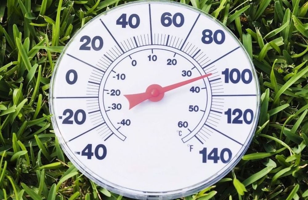 Thermometer in grass