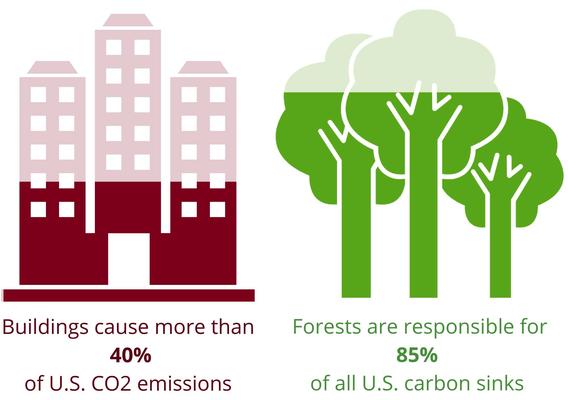 Buildings cause more than 4% of US CO2 emissions. Forests are responsible for 85% of all U.S. carbon sinks.